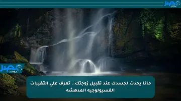 ماذا يحدث لجسدك عند تقبيل زوجتك.. تعرف على التغيرات الفسيولوجية المدهشة